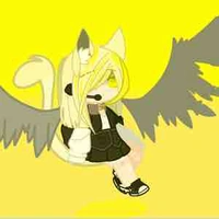 Sipu(mèo này vàng lè)