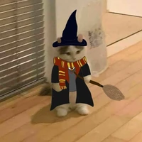 Đệ tử bà Châu