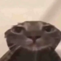 cả lớp
