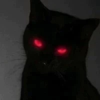 N€o[ pet Kira ]
