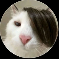 tgia tongtai thật sự