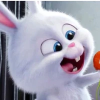 Chinchin🥕