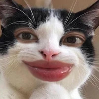 Buê Đuê💅🏳️‍🌈