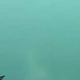 Đám đông
