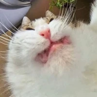 tg đáng êu