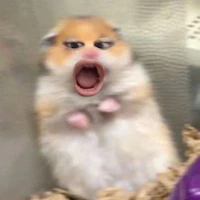 Lười là tớ