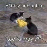 Nhóm những loài vật không bth