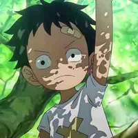 Monkey D Luffy