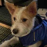 An siêu đẹp troai đến rồi đây 🦸🏻‍♀️