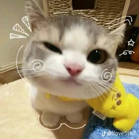 Bơ vụng của Hờ