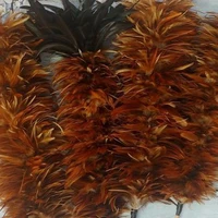 các học sinh