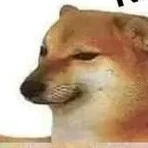 all(trừ ai cần trừ)