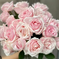 hiha aut(trừ ai thì trừ)