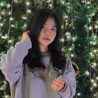 Hàn Ngọc Ánh  (trước khi xuyên không) 