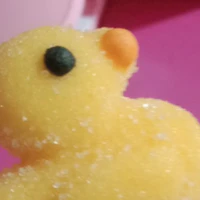 tác giả cute