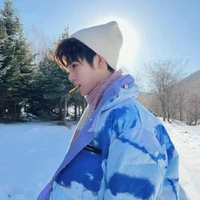 Trương Chân Nguyên