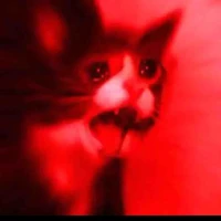 T/G ( mèo )