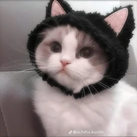 (sốp 2)Louis
