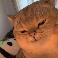 hẹ hẹ hẹ 