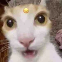 Nhân vật cân mọi vai trò 💪