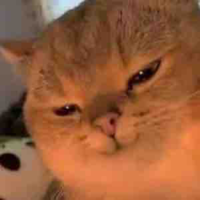 Tg