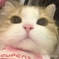 tác giả