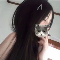 t/g cute phô mai que đz nhất quả đất