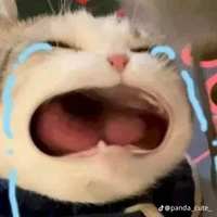 Nhỏ tác giả🙂