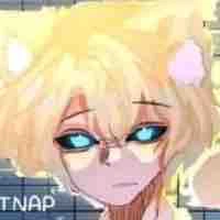 Hiha anti catnap