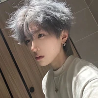 Mạnh Thiên Thành Nam