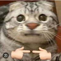 là tác giả nè Kon