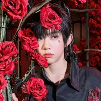 Trần Dịch Hằng