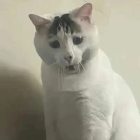Tác giả bị khùng =))