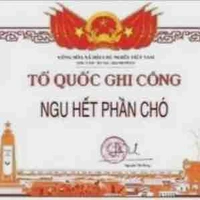 Tác giả