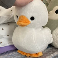 All