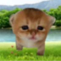 Cả đám =))) 