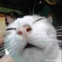 Người Tình Của Jack