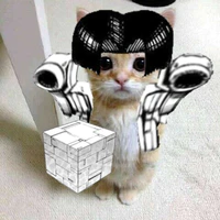T/g