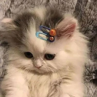tác giả hột zịt lộn=))