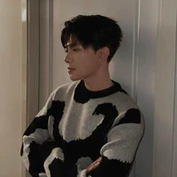 Bùi Anh Tú