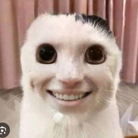 Surichi Ethany