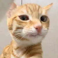 ᕦ( ᐛ )ᕡ