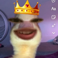 Hoàng Ngọc Minh Hằng_tg 1