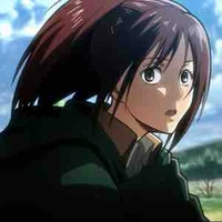 Sasha Blouse