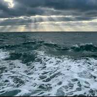 (All)..