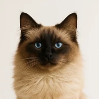 tộc trưởng tộc hồ ly