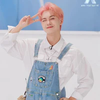 Sơn