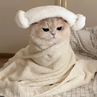 Tác giả