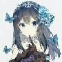 lyly