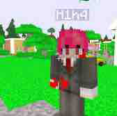 H1h4 